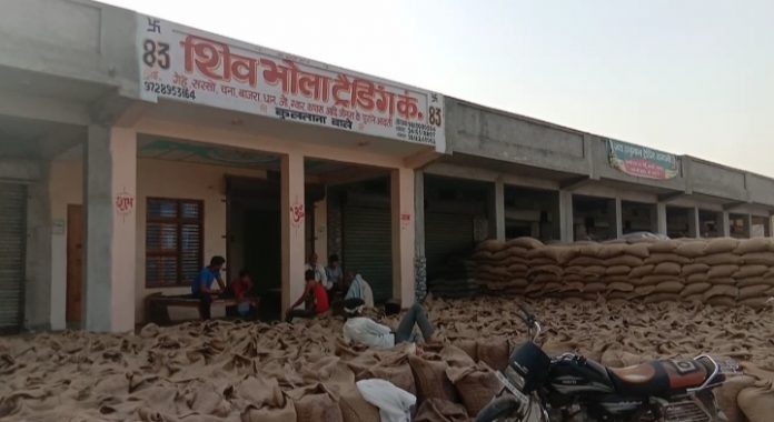 Sampla Grain Market