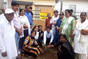 Plantation Drive