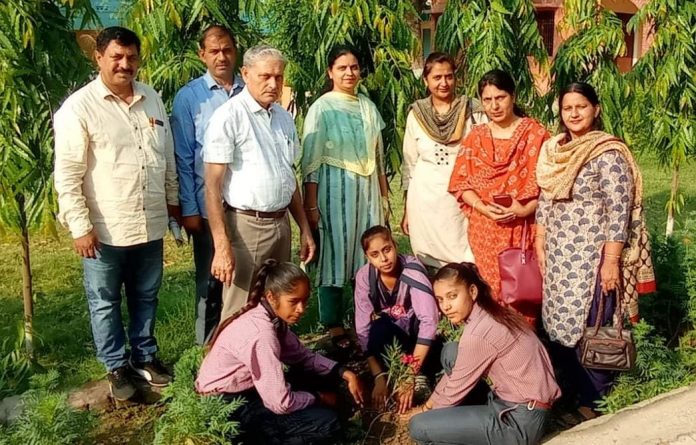 छात्राओं ने अपने जन्म दिन पर किया पौधारोपण