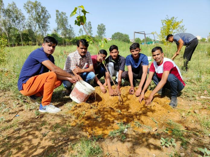 Planted Saplings in Jat College