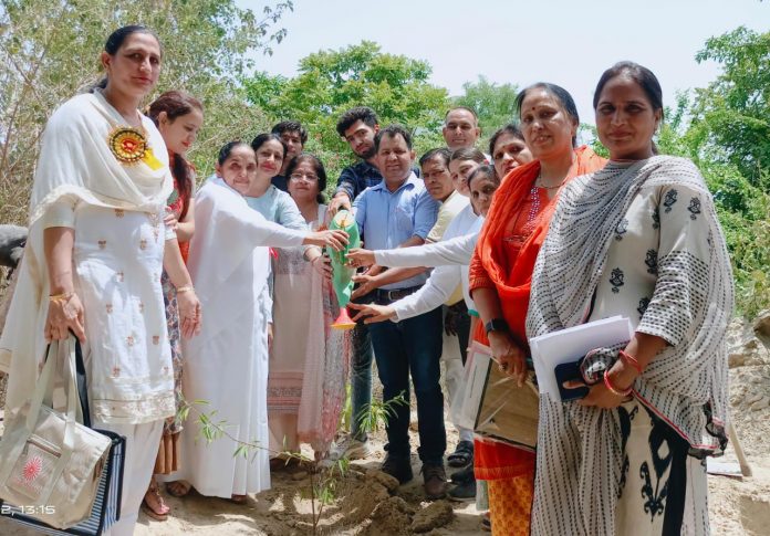 जिस तरह पौधे बाह्य प्रदूषण कम करते हैं ठीक उसी प्रकार नैतिक मूल्य मन के प्रदूषण को करते हैं समाप्त : बीके कविता