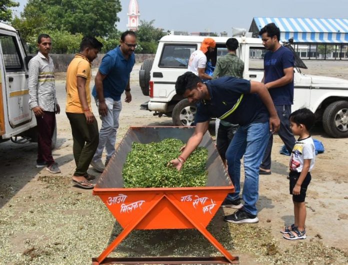 Panipat News/Presented four iron shells to the destitute cows