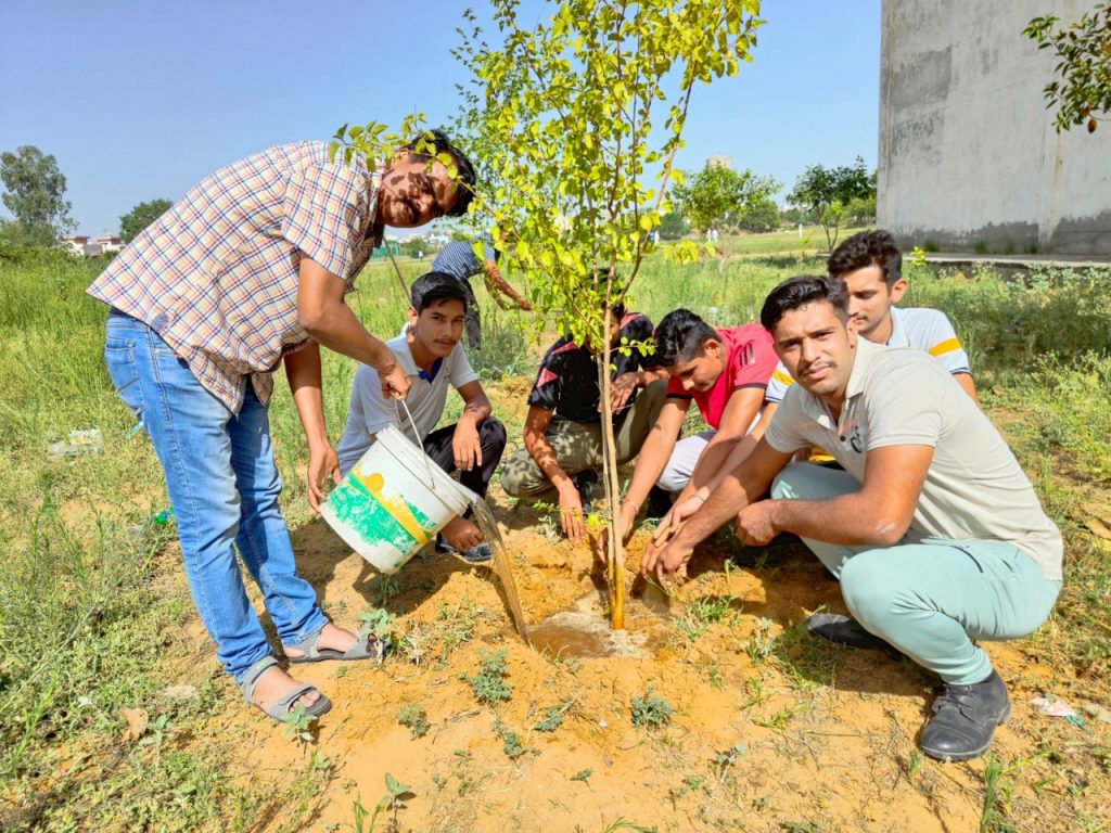 Planted Saplings in Jat College