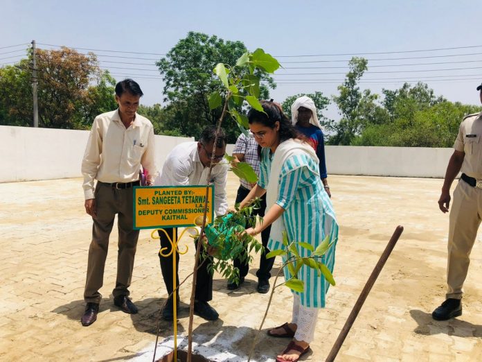 Planting Trees by Telling the Importance of Triveni