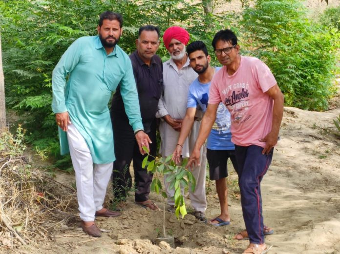 Tribute  Paid To Sidhu Musewale By Planting Saplings