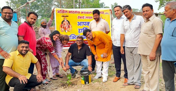 All India Agrawal Conference Planted Saplings