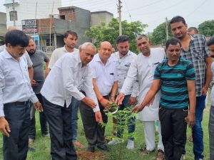 Panipat News/Plantation done on Dr. Shyama Prasad Mookerjee