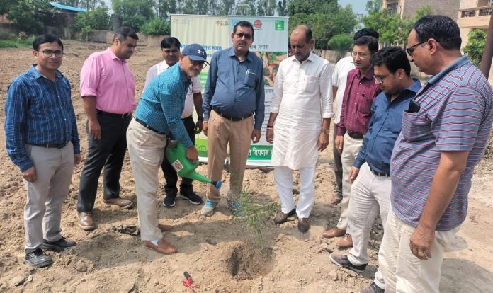 Panipat News/It is necessary to plant trees to keep the next generation healthy: Gupta