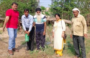 Panipat News/Plantation done in Deshbandhu Gupta Government College