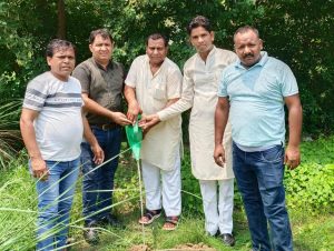 Panipat News/Plantation program organized under Eco Club in Deshbandhu Gupta Government College