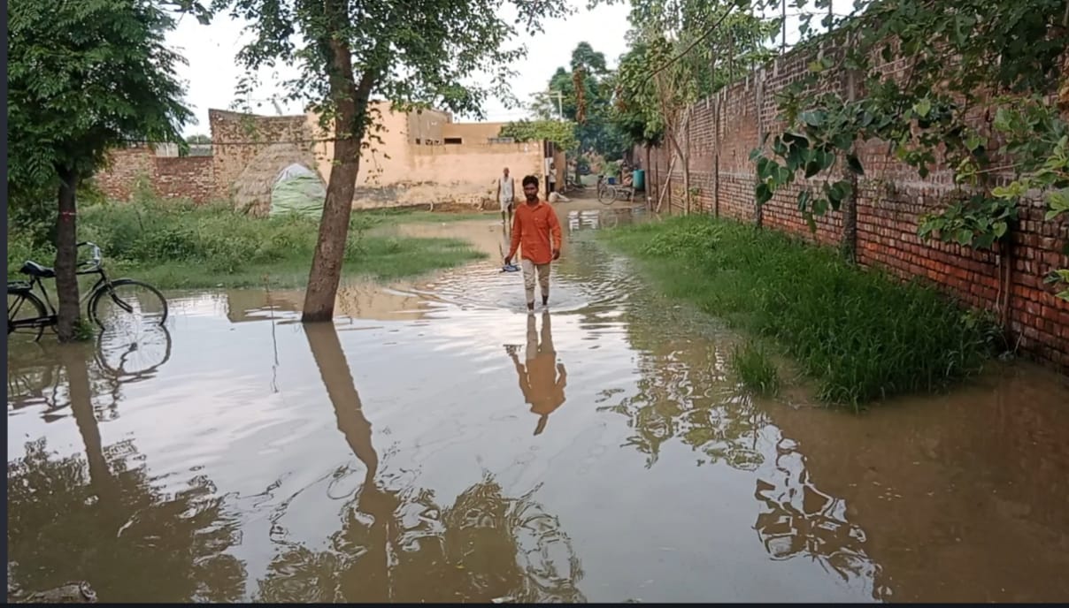 Dirty Water Accumulated in Dachar's Street