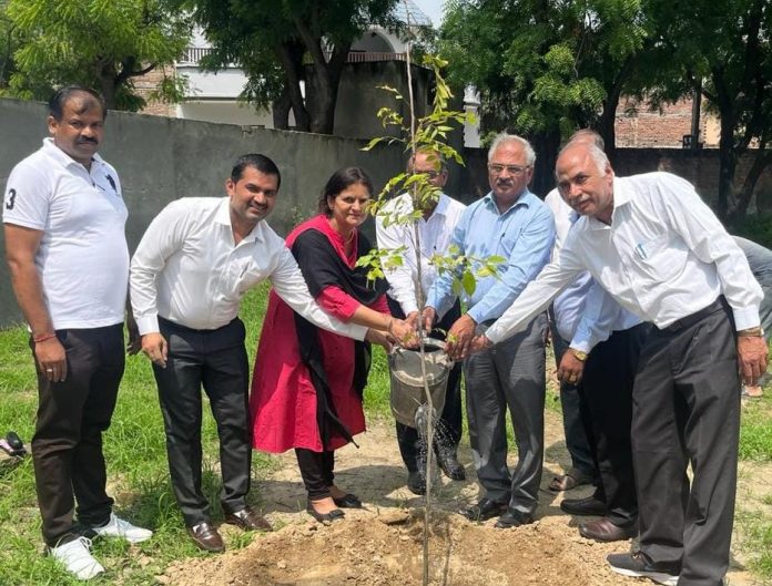 Panipat News/Pradeep Malik planted a tree on his birthday gave the message of environmental protection