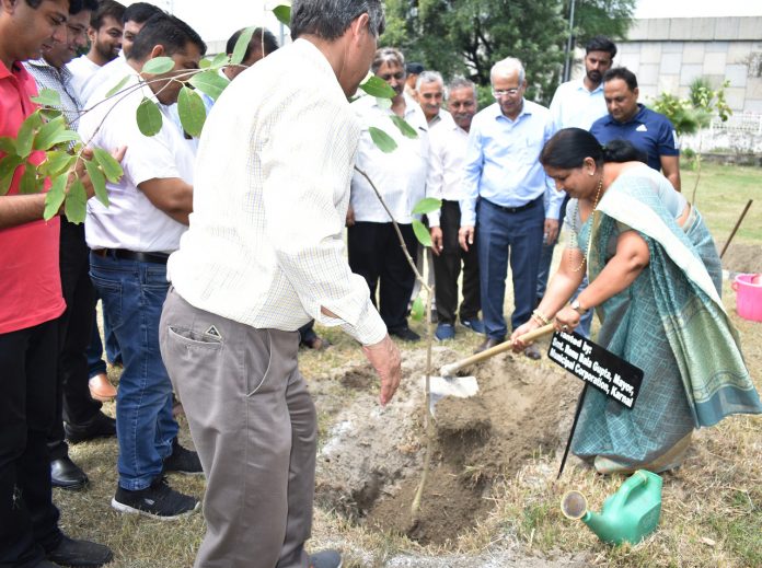 Local People Planted Saplings with Councilors