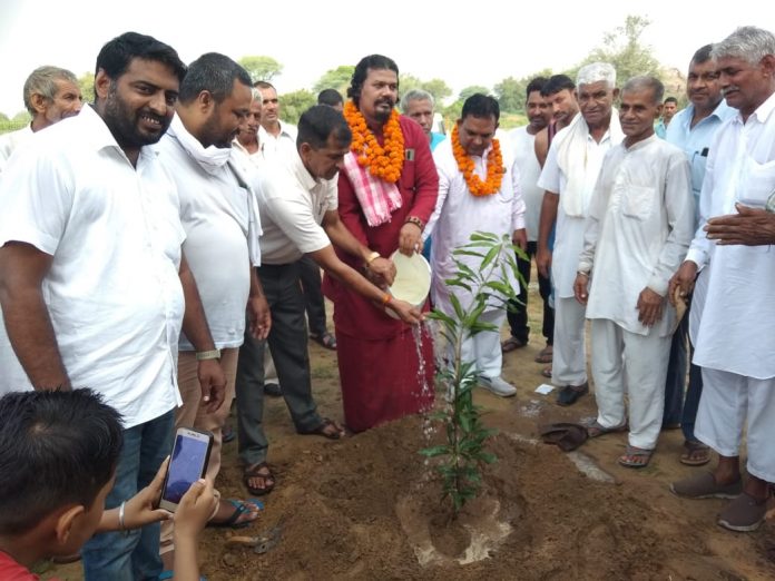 Plant Saplings under Mission Mahendragarh Apna Jal