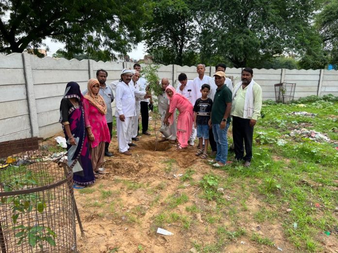 Mahendragarh News/Plantation done in the Ambedkar Bhawan complex of Mahendragarh on the election of His Excellency President Draupadi Murmu