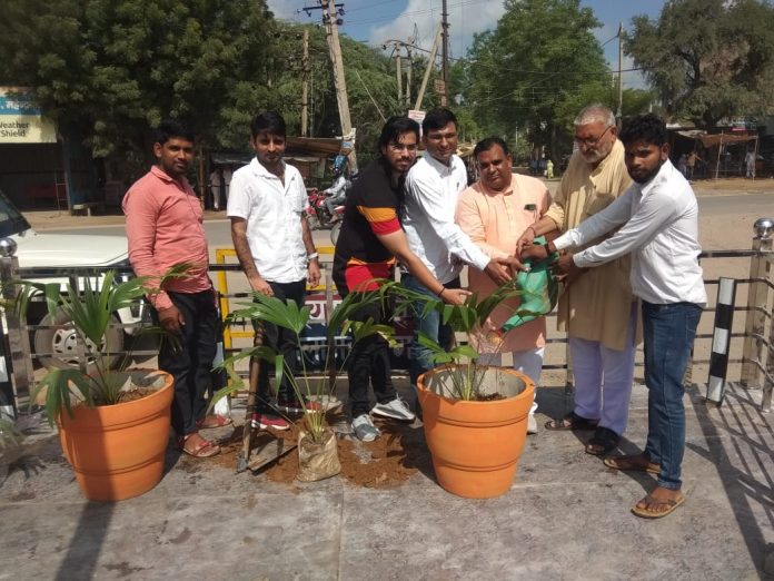 Plantation under Mission Mahendragarh Apna Water Conservation