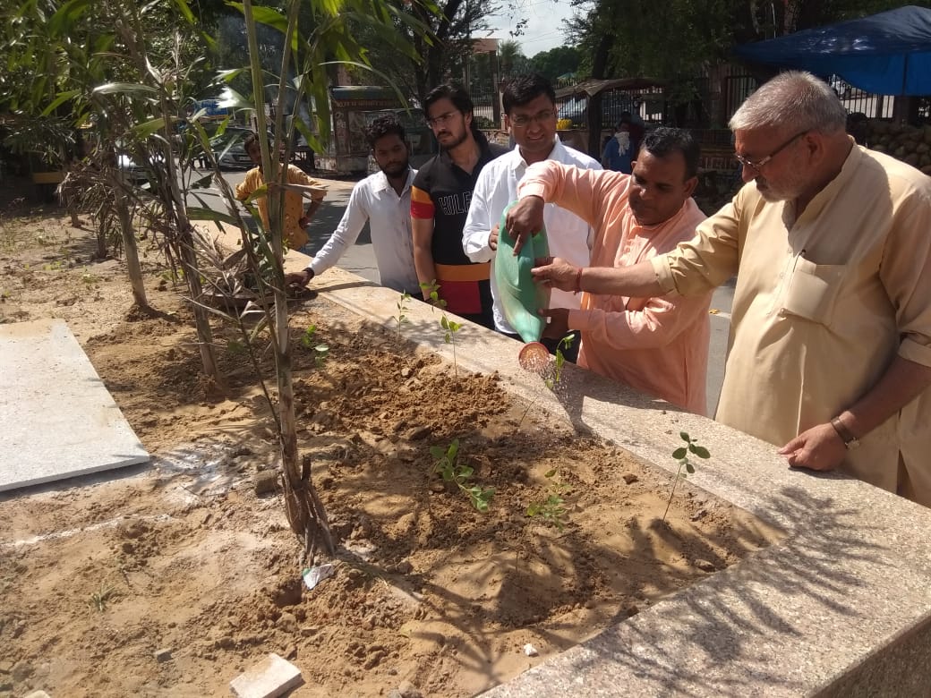 Plantation under Mission Mahendragarh Apna Water Conservation