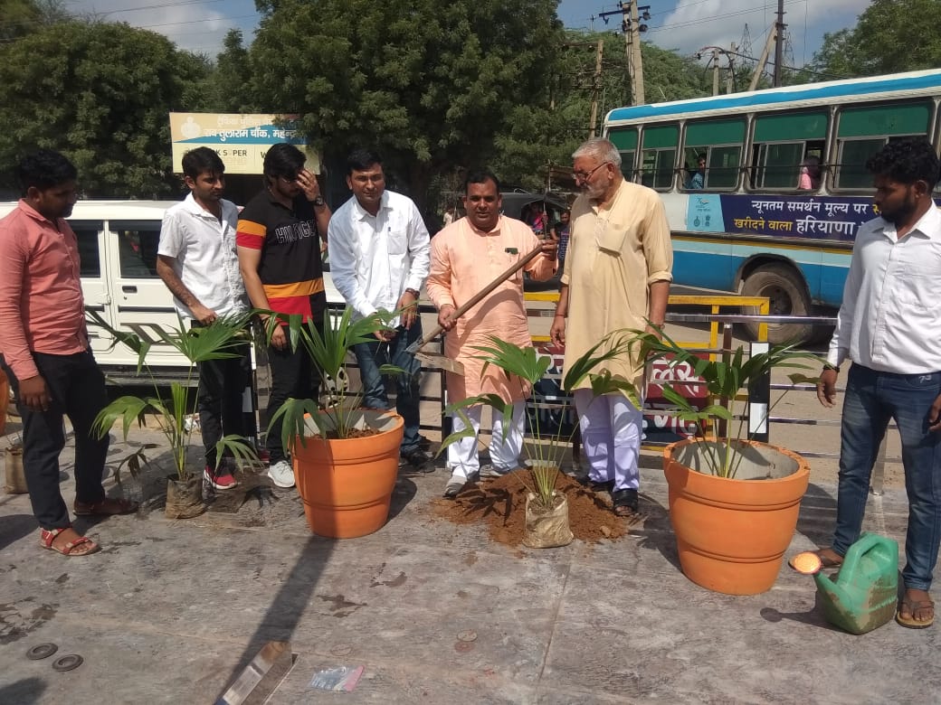 Plantation under Mission Mahendragarh Apna Water Conservation