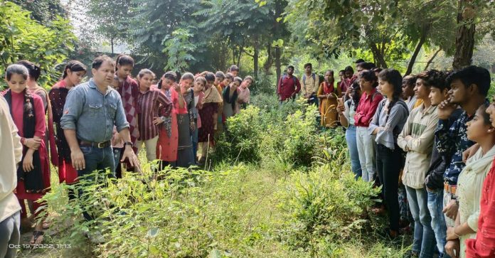 Panipat News/Donated Shramdaan in Herbal Garden and Bird Sanctuary of Deshbandhu Gupta Government College