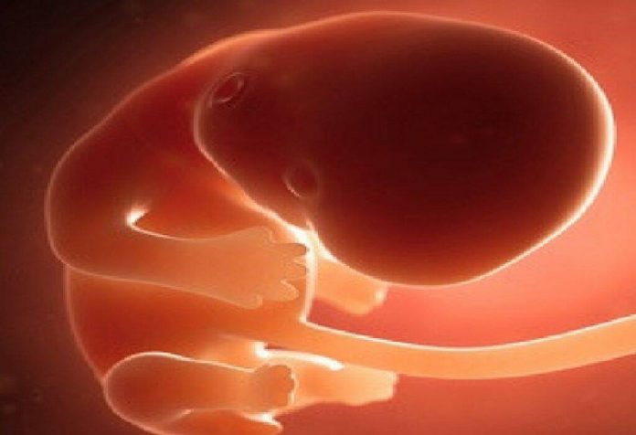 Panipat News/ 3 month old fetus found in Panipat district