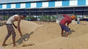 Entry of UP paddy will not be allowed: Mandi Secretary