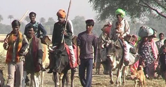 Camp in the settlements of Denotified Nomadic and Semi Nomadic castes: Kamal Dhiman