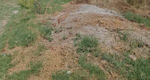 Panipat News/Illegal dung and garbage kept in cemetery in Dhansauli village villagers expressed anger