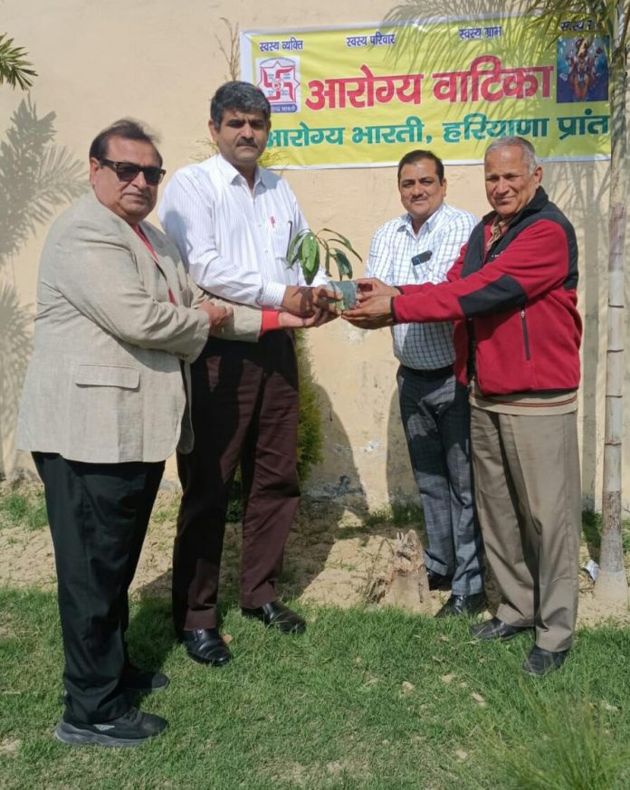 Panipat News/Planted more than a dozen saplings in the Arogya Vatika of Geeta Degree College