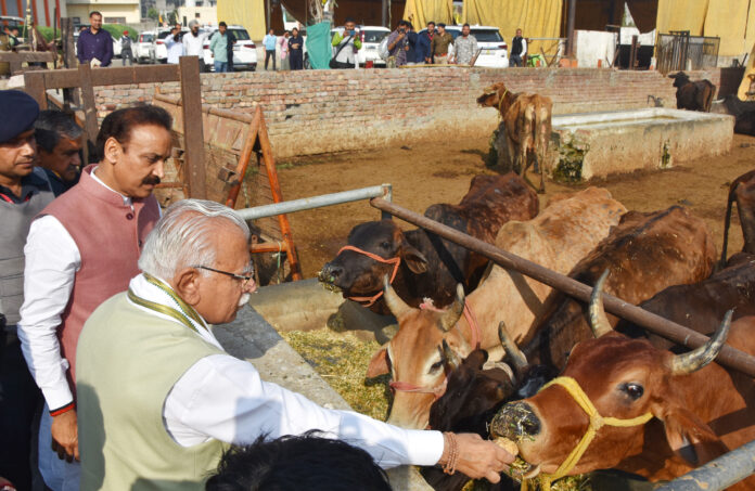 Arrived to inspect Nandigram Gaushala CM