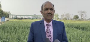 There is no threat to the wheat crop due to early heat: Dr. PK Singh