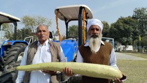 Karnal National Wheat and Barley Research Institute