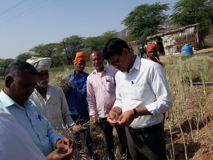 SDM inspected the opportunity of e-Girdawari of the crop