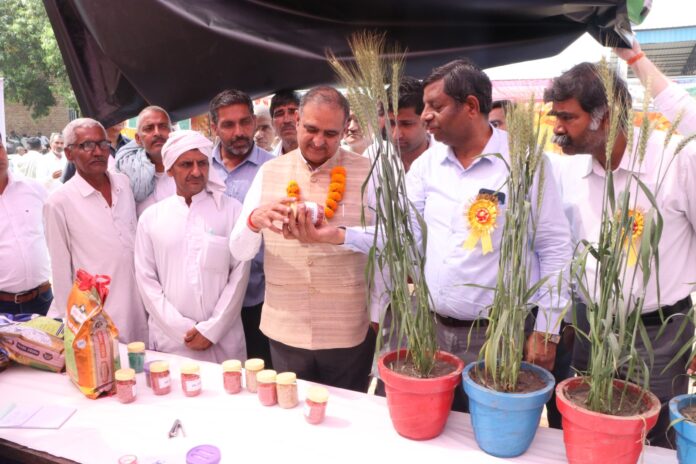 Panipat News/District level agriculture fair organized at Krishi Vigyan Kendra Ujha