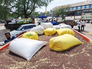 Panipat News/The commission agents protested against the policies of the government by reducing the agent and keeping more scale of mustard procurement