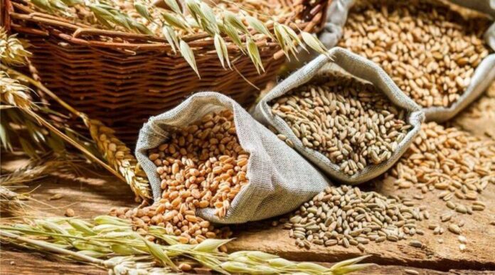 Panipat News/Government serious about coarse grains