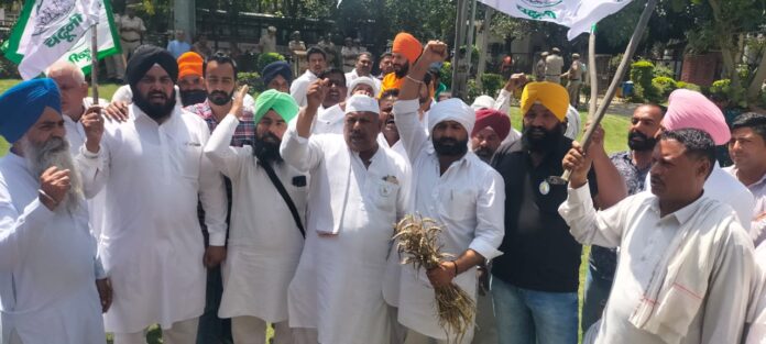 Farmers demonstrated demanding compensation for crop damaged in rain