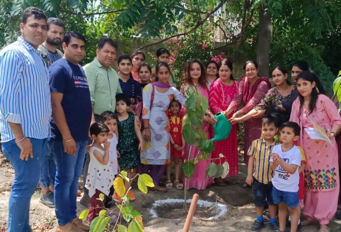 Panipat News/Plantation program organized on the occasion of Earth Day at Deshbandhu Gupta Government College