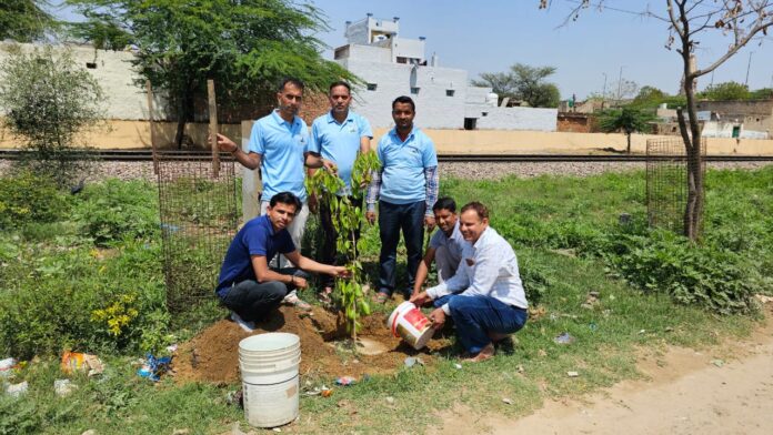 Mamaj team planted saplings in Rivasa