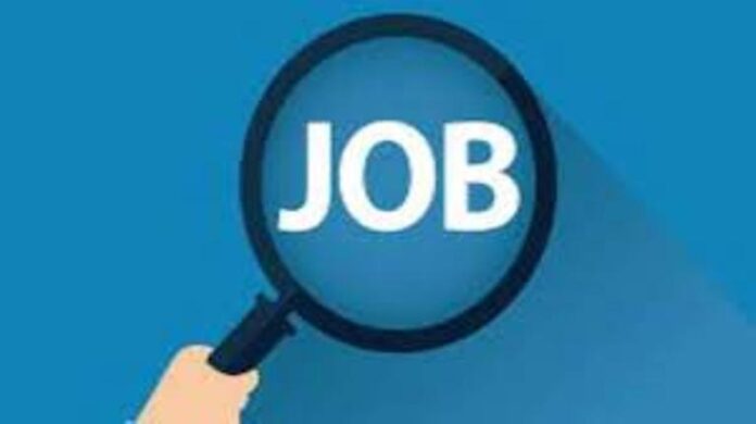 Panipat News/District Employment Panipat/A placement drive to fill 25 posts