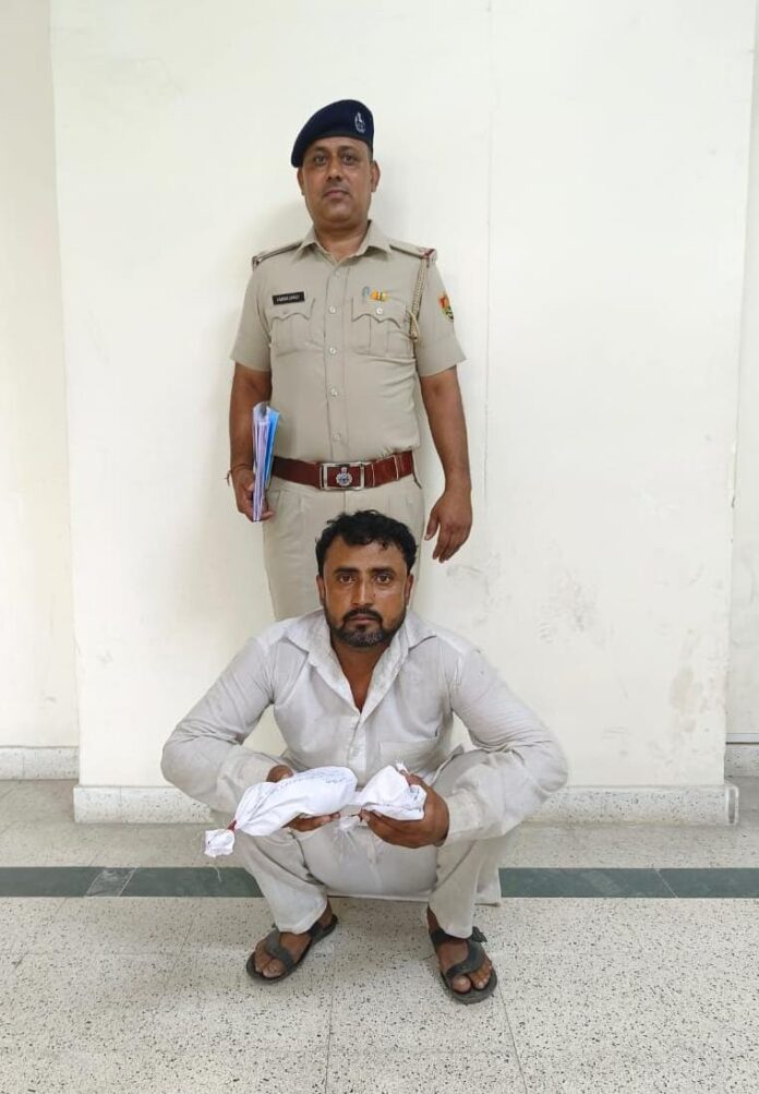 Panipat News/Drug Smuggler Arrested 