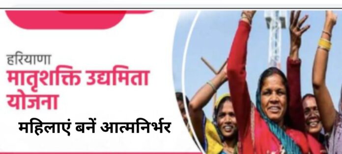 Panipat News-Matrushakti Udyamita Yojana