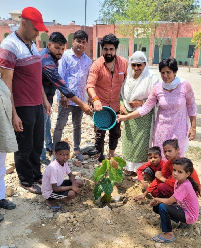 Panipat News/Plant Trees Save Earth Campaign