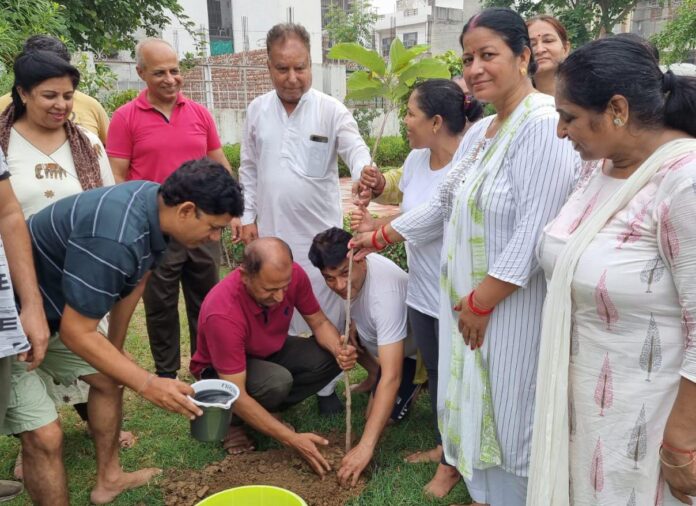 Panipat News-World Yoga Day