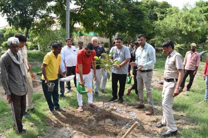 Panipat News-DC Planted Saplings in The Secretariat Premises