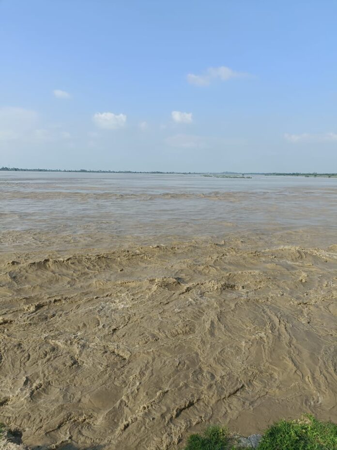 Yamuna's Water Level