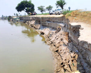 Crops Damaged Due To Flood