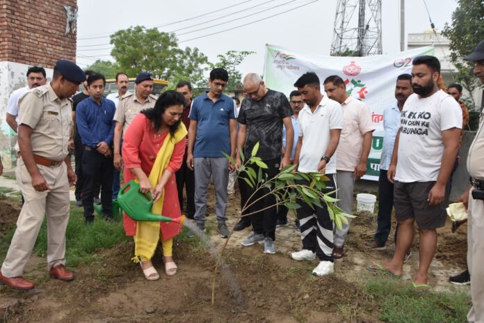 Administrative officials Planted Saplings