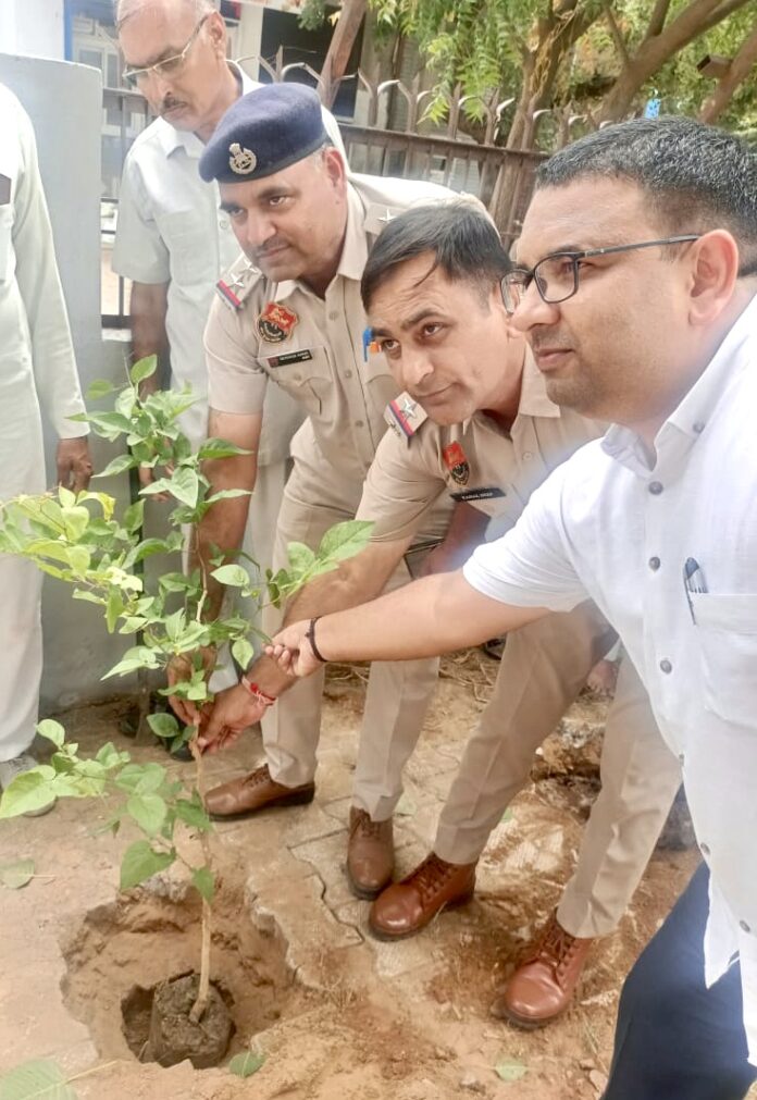 खंड कनीना के गांव करीरा में पौधारोपण करते बीडीपीओ व अन्य।