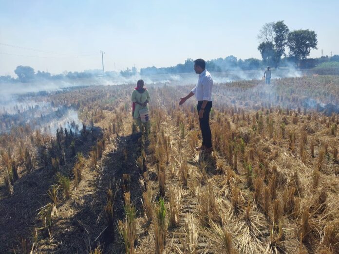 Stubble management is definitely a challenge but not complicated: DC