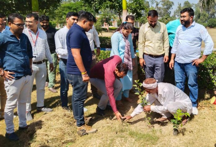 Tree Plantation Program